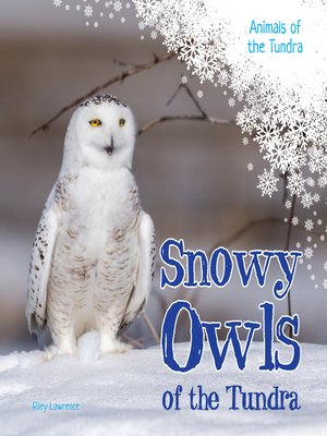 cover image of Snowy Owls of the Tundra